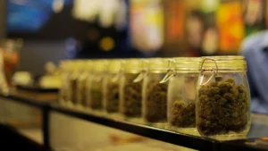 marijuana_jars_21121_1